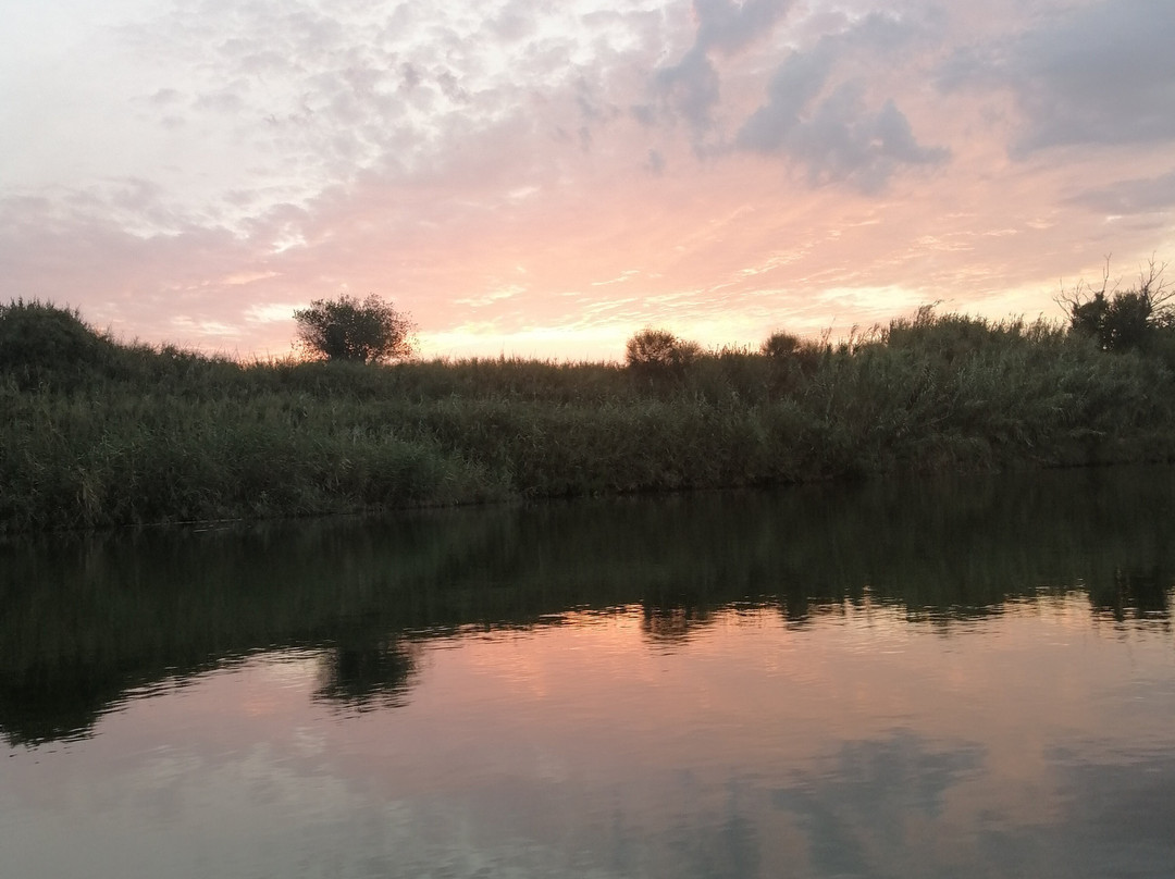 Canoe nel Parco della Maremma景点图片