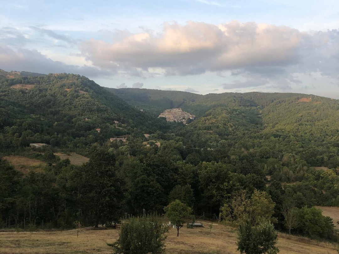Fattoria Del Borgo In Sabina景点图片