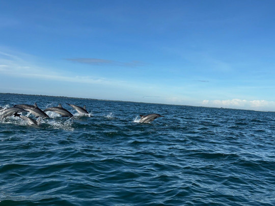 K K Boat Tours-尼拉瓦利必去景点