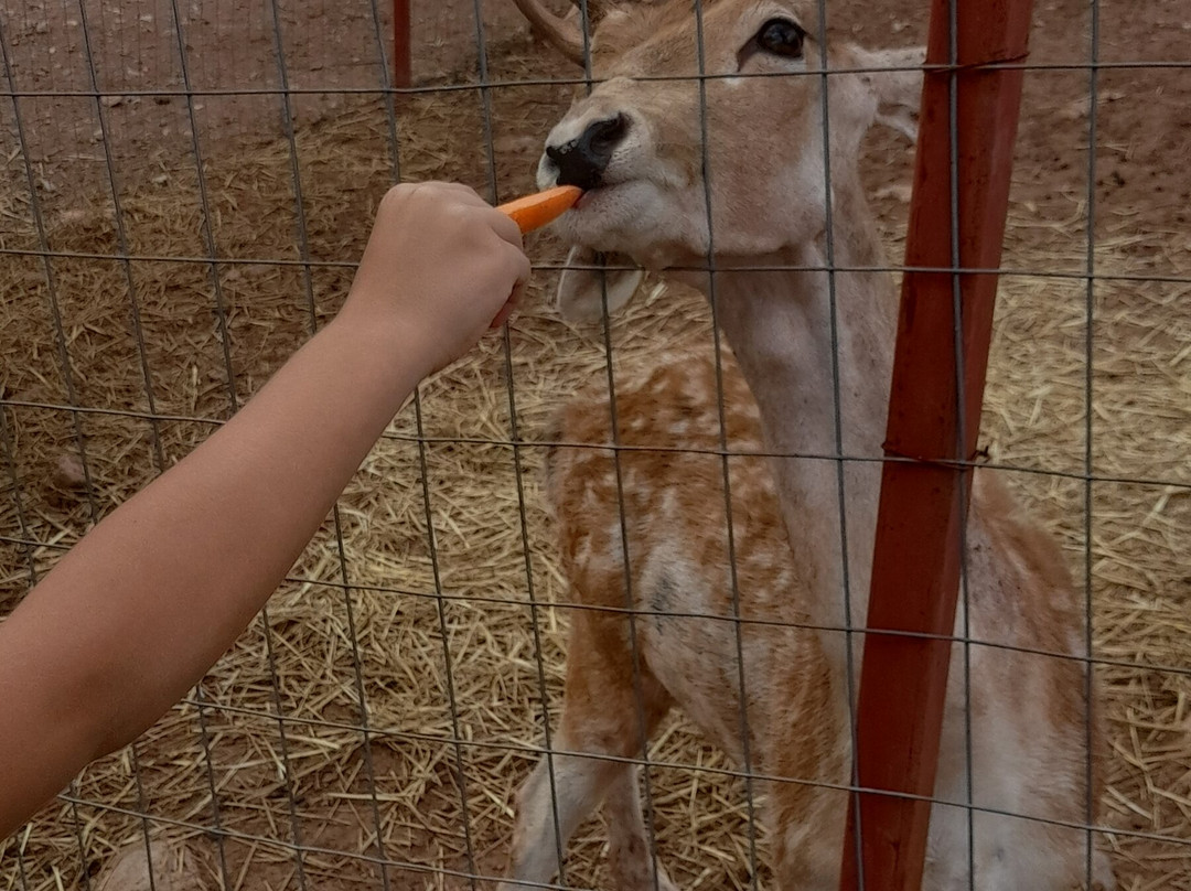 Zoologikós Kípos Kalavrýton-卡拉夫里塔必去景点