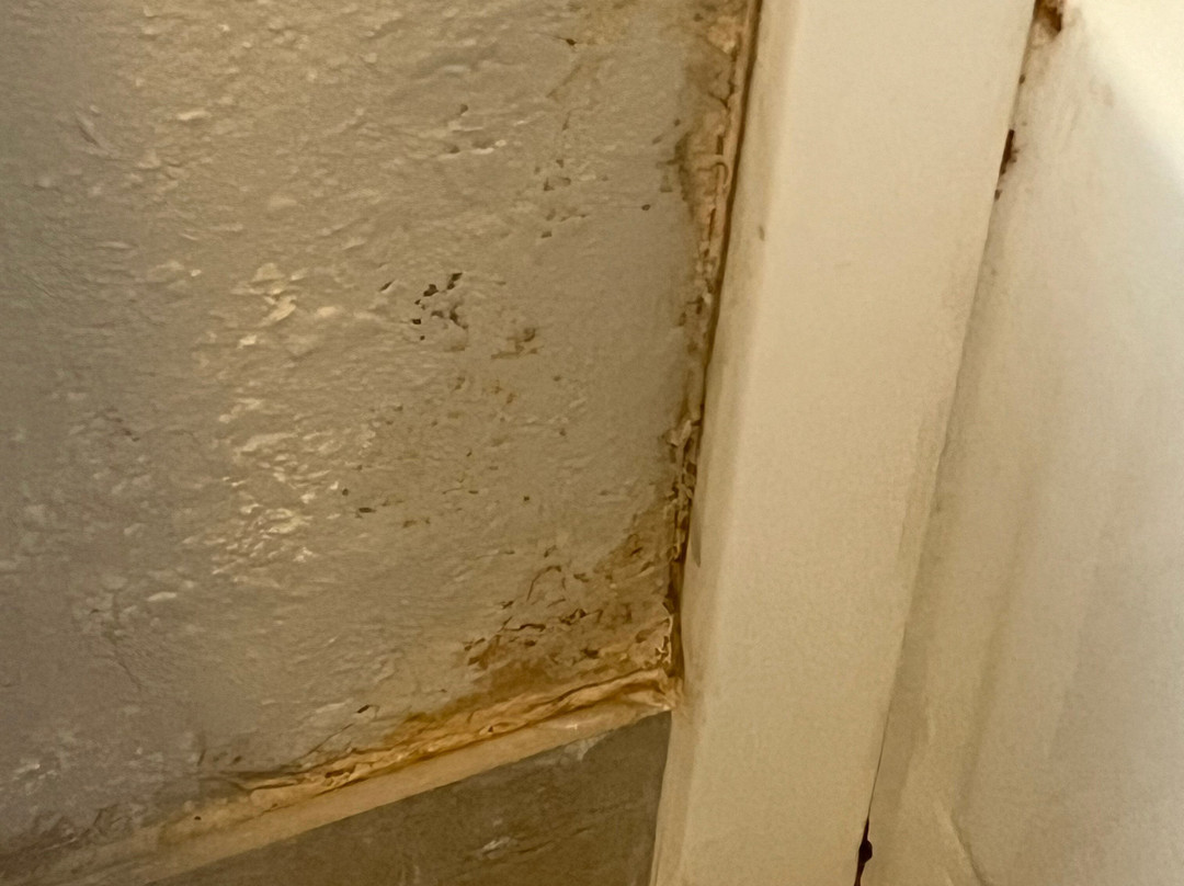 Holiday Inn Express Milwaukee-West Medical Center by IHG主图