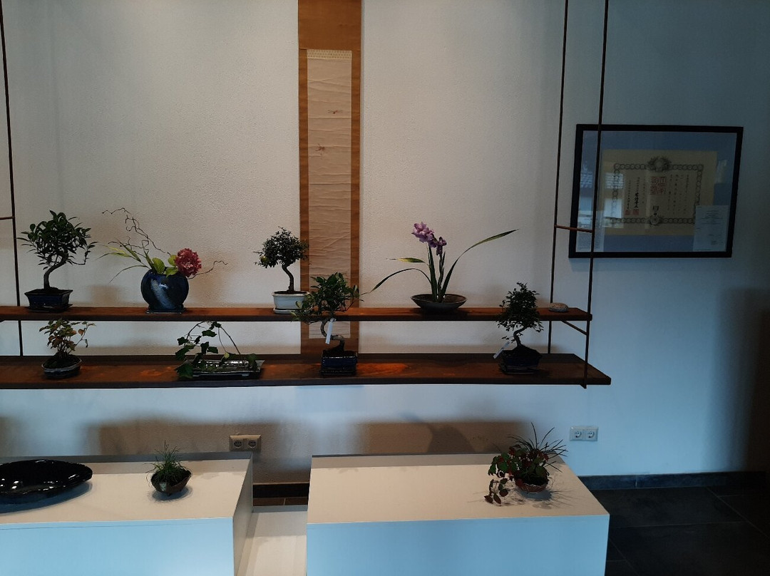 Bonsaimuseum景点图片