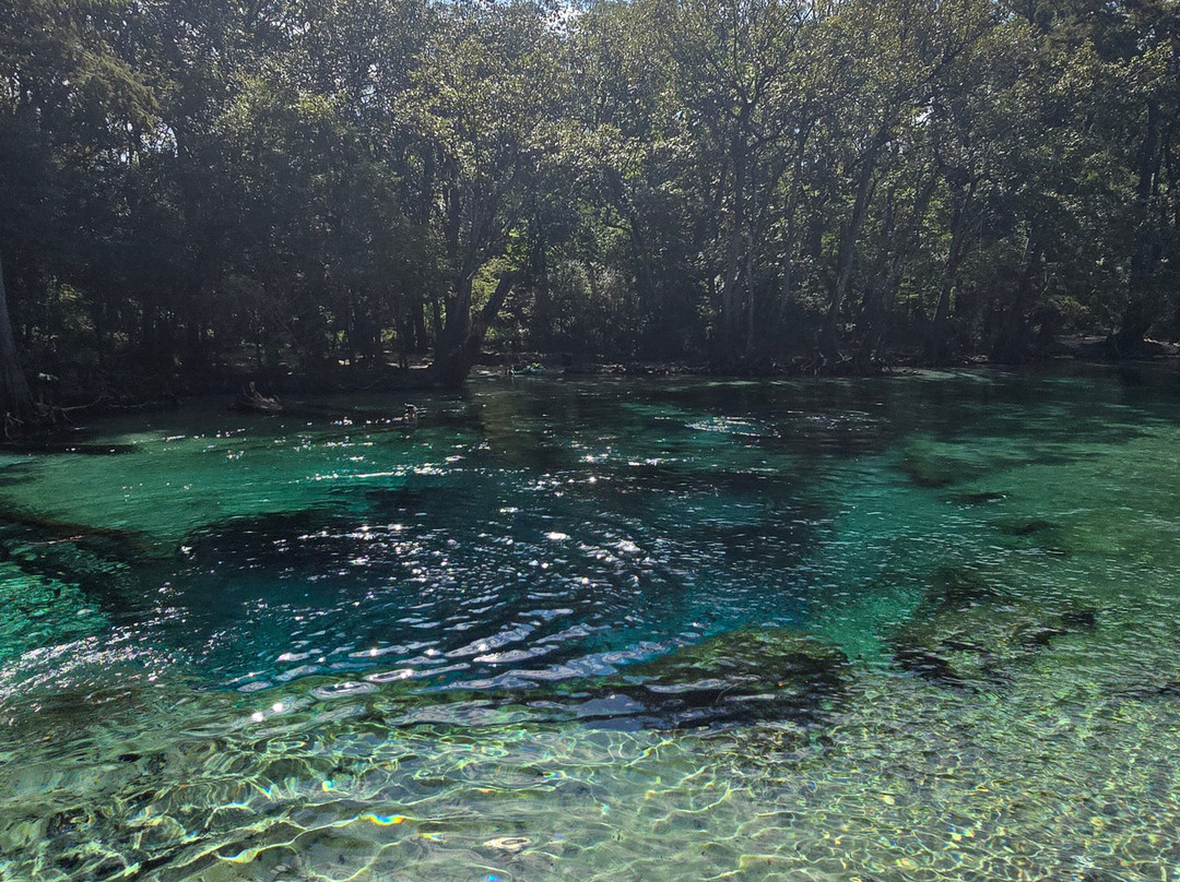 Coldwater Excursions景点图片