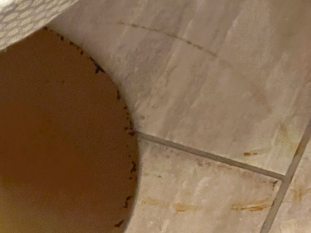 Fredericton Inn主图