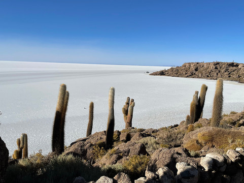 Alaya Bolivie-拉巴斯必去景点