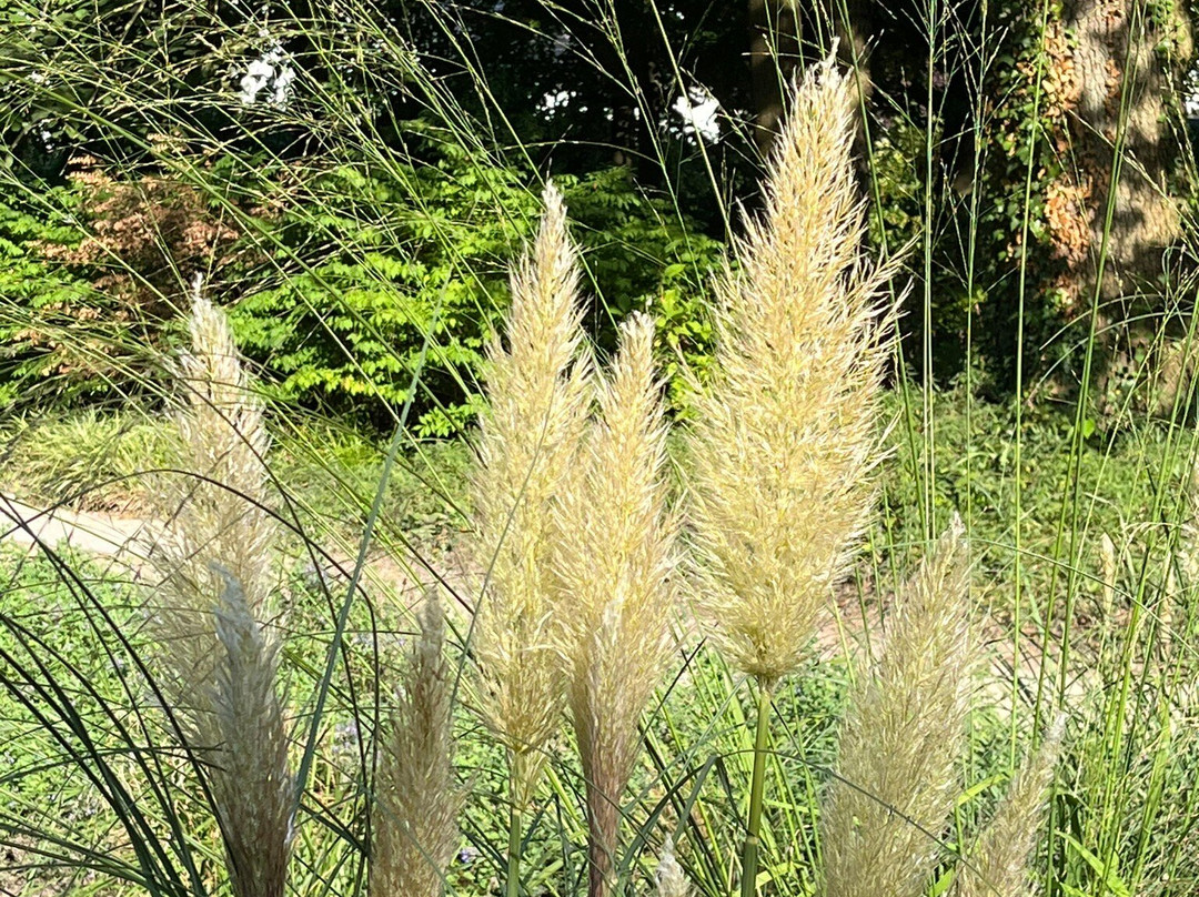 Gartenschau Bad Lippspringe-Bad Lippspringe必去景点