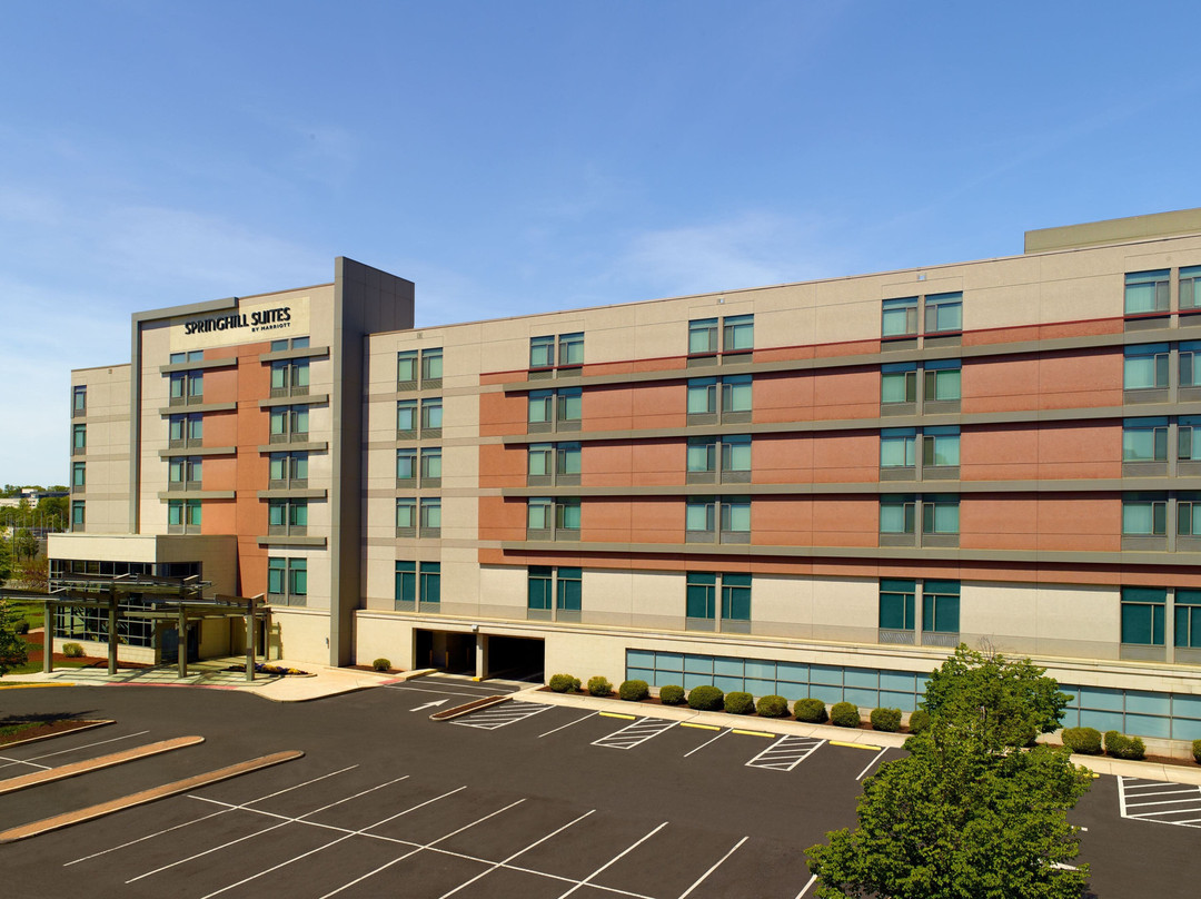 SpringHill Suites by Marriott Alexandria Old Town/Southwest主图