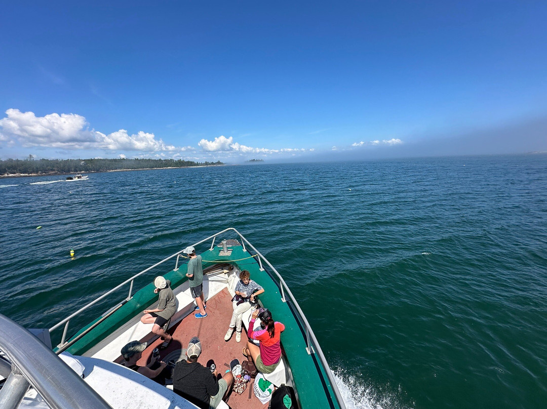 Hardy Boat Cruises景点图片