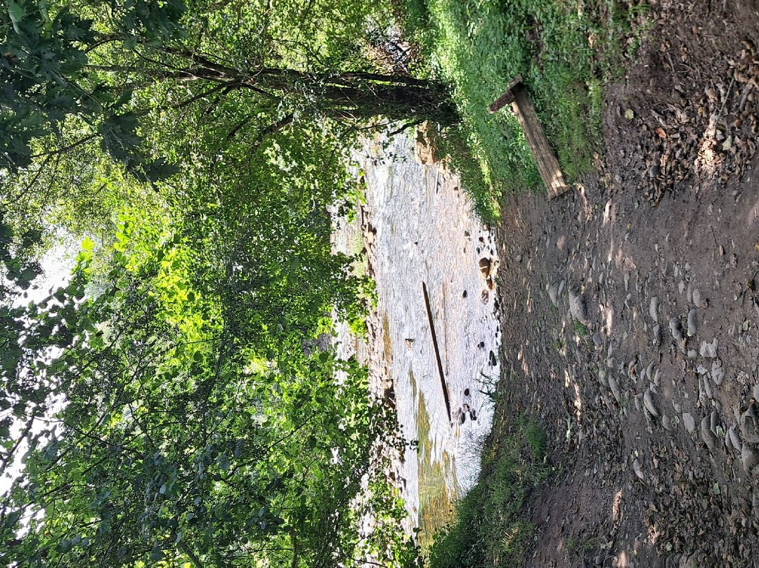 Senda Fluvial del Nansa景点图片