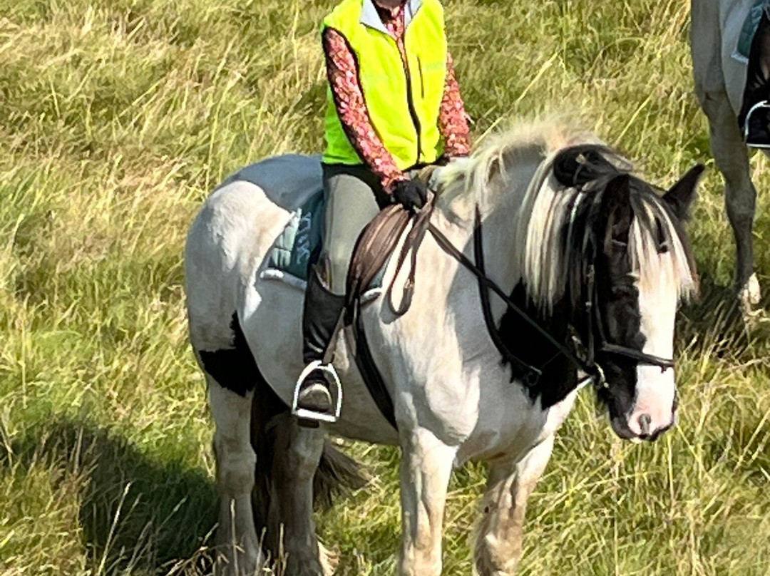 Kilnsey Trekking & Riding Centre景点图片