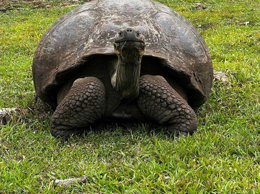 Galapagos Natural Life Tour Operator-加拉帕戈斯群岛必去景点