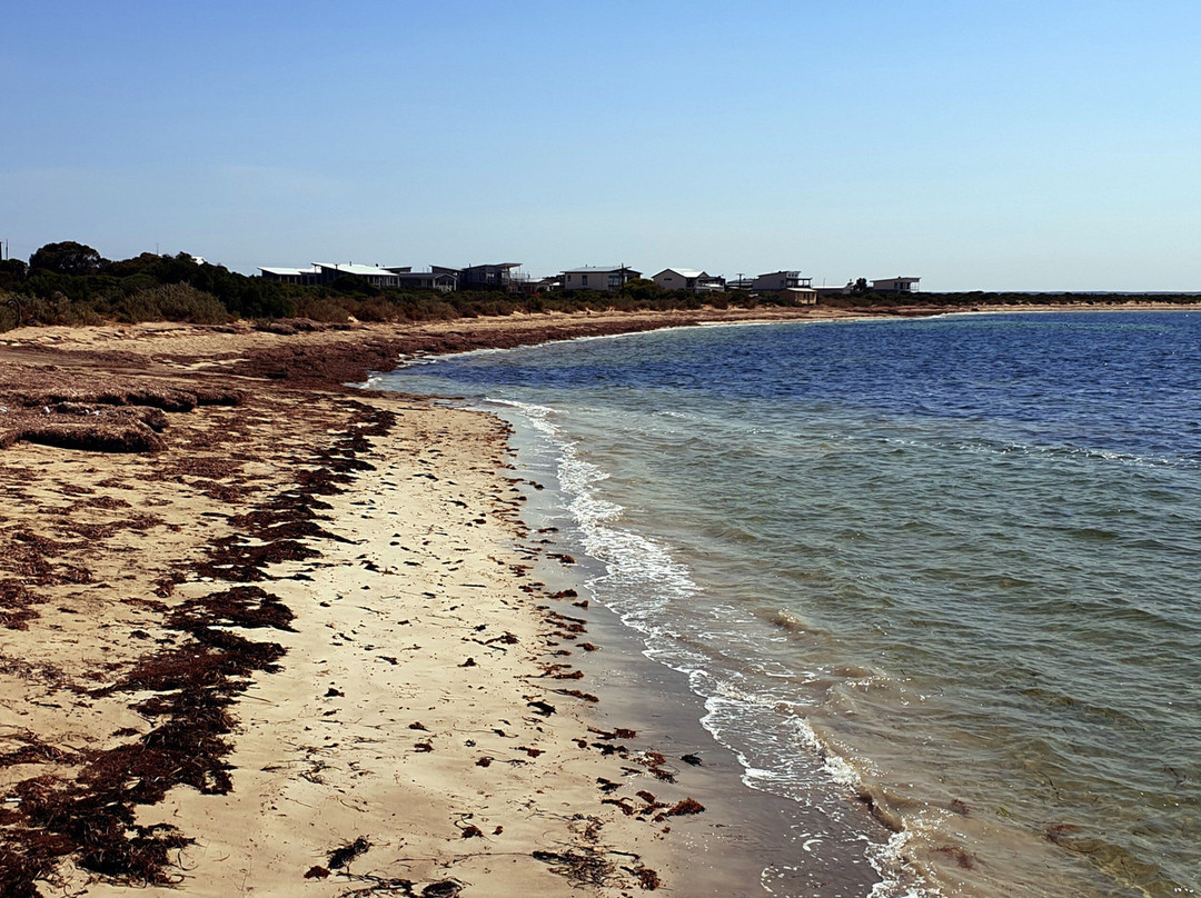 Marion Bay Jetty景点图片