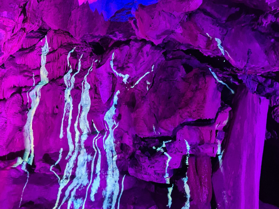 Cox's Cave-Cheddar必去景点