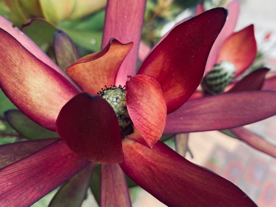 Saint Andrew's Uniting Church-Stratford必去景点