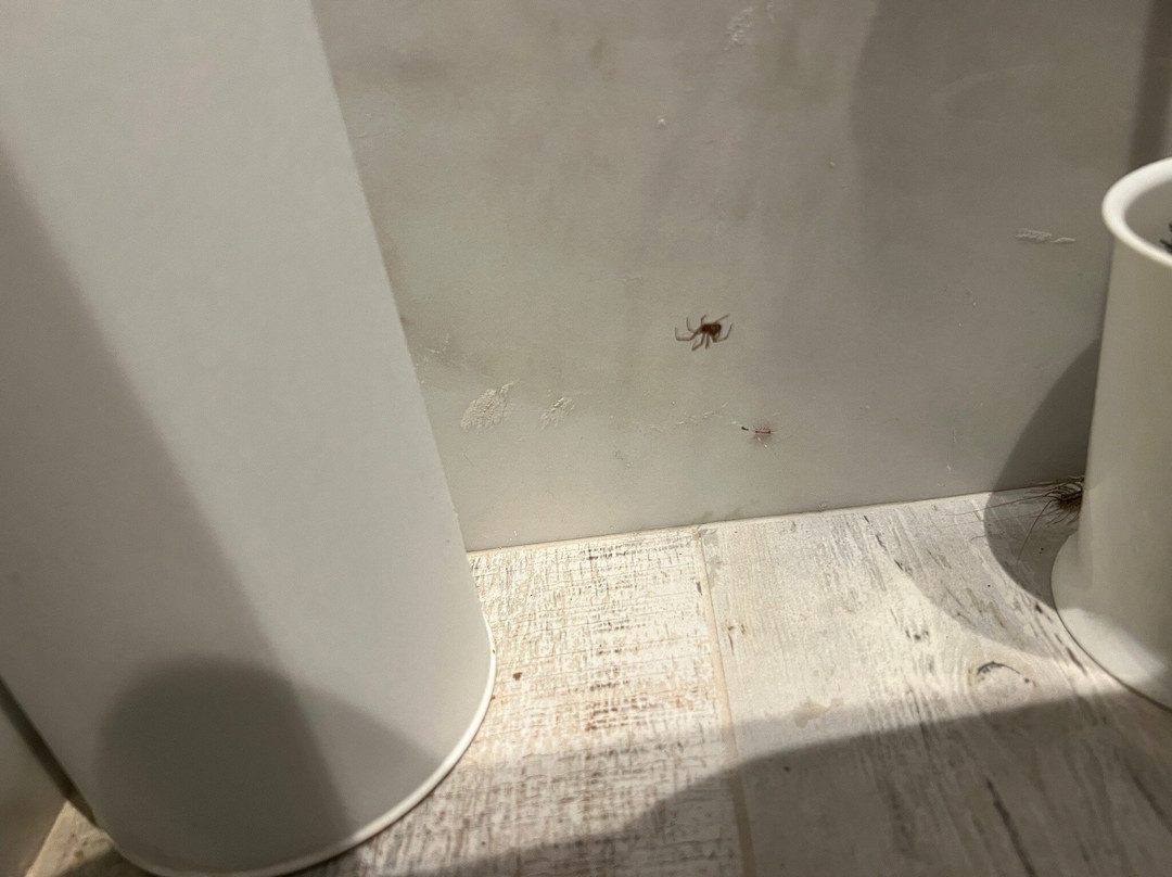 Kahlenberg Apartments主图