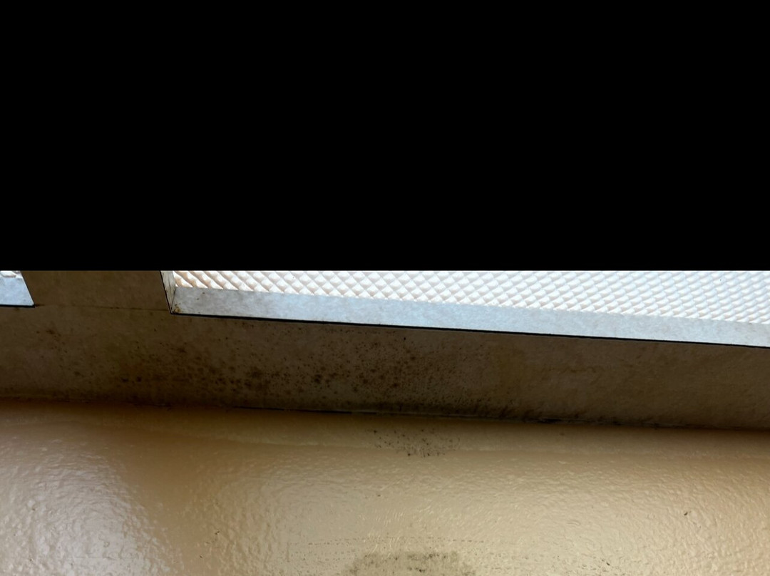 Sea Oats Beach Club主图