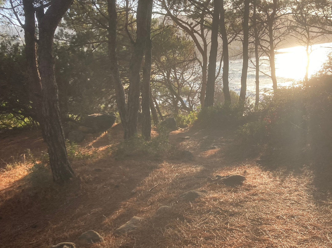 Summer Yoga Sessions-Gialiskari必去景点