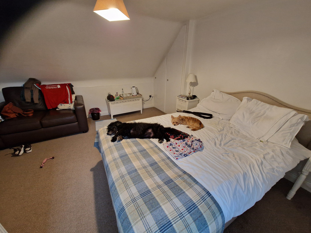 Whitethorn Farm Bed & Breakfast主图