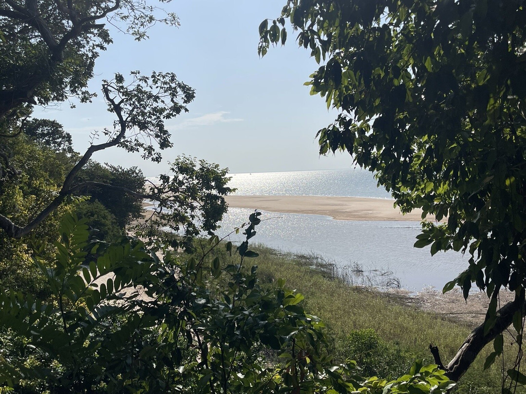 Bangalôs da Selva
