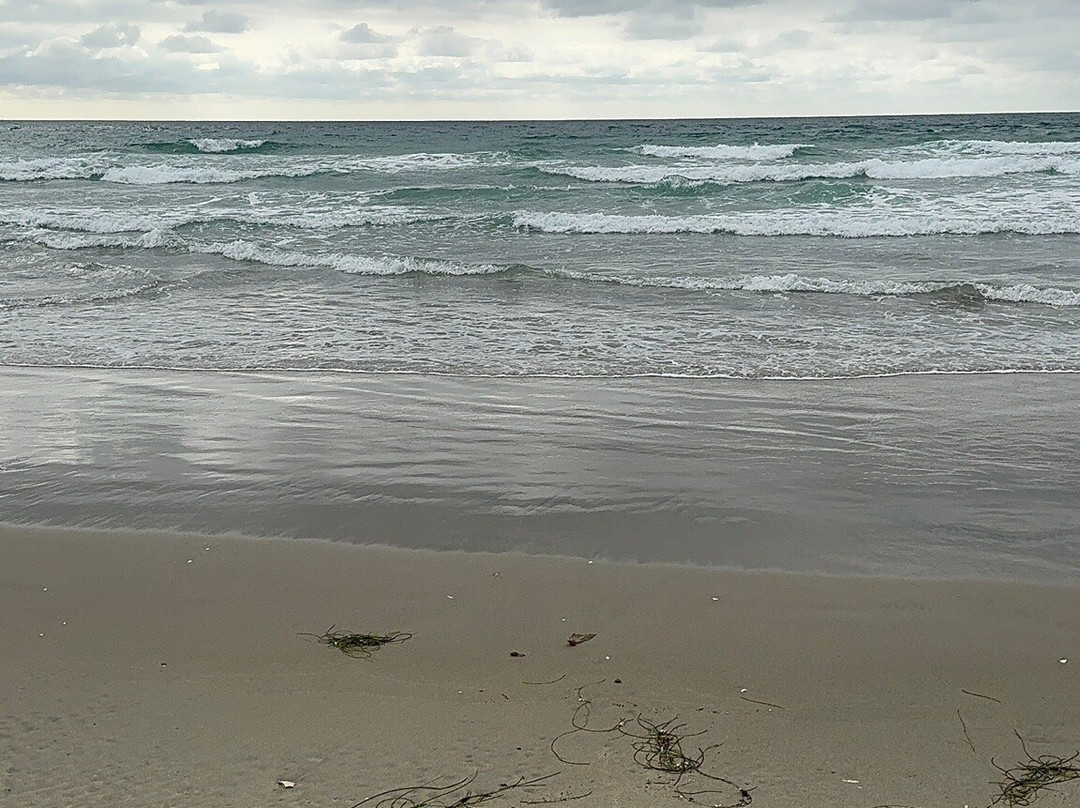 Baja Seasons Resort主图