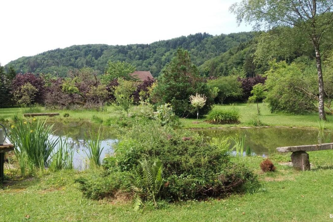 Au Pied des Milles Etangs主图