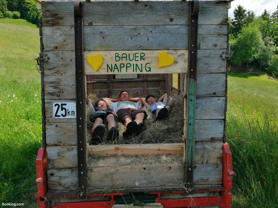 Pension Stauder主图