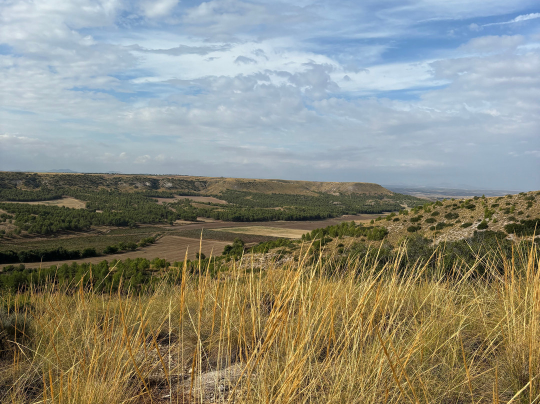 Bodegas Mas Que Vinos景点图片