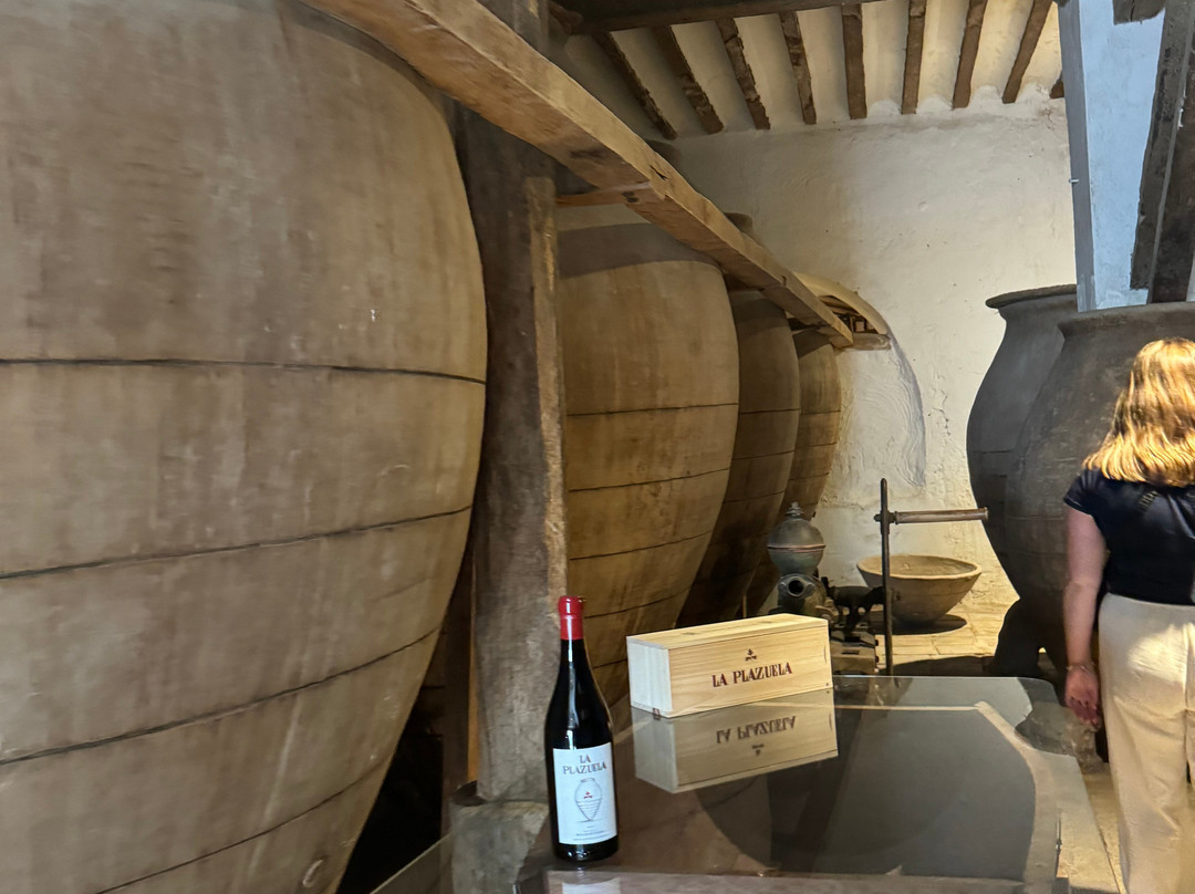 Bodegas Mas Que Vinos景点图片
