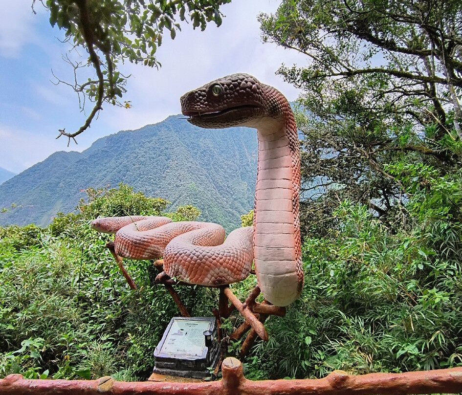 AnimalPark景点图片