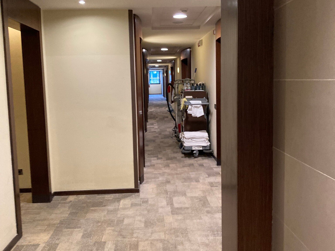 Best Western Hotel Goldenmile Milan主图