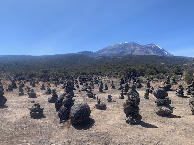 Jobeth Africa Safaris-Seronera必去景点