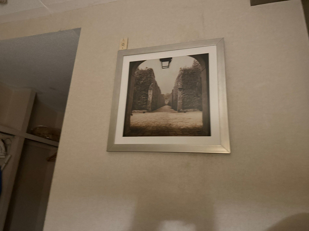 Monte Carlo Inn - Oakville Suites主图