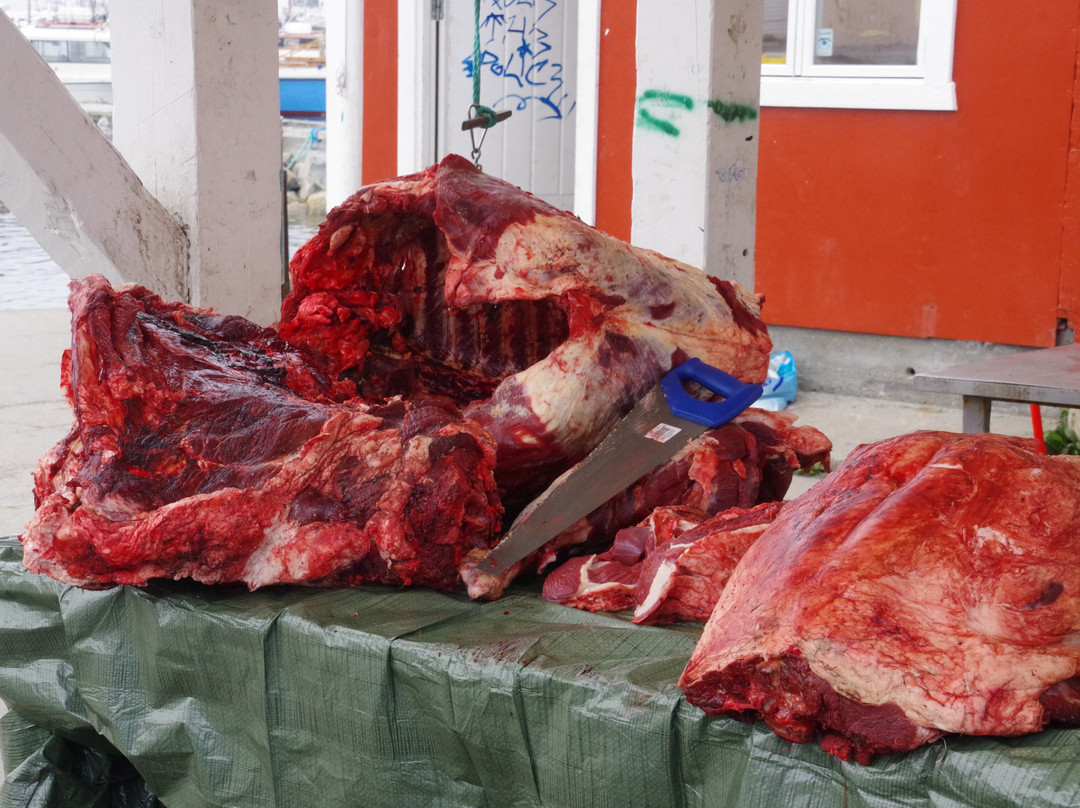 The Fish Market-Qaqortoq必去景点