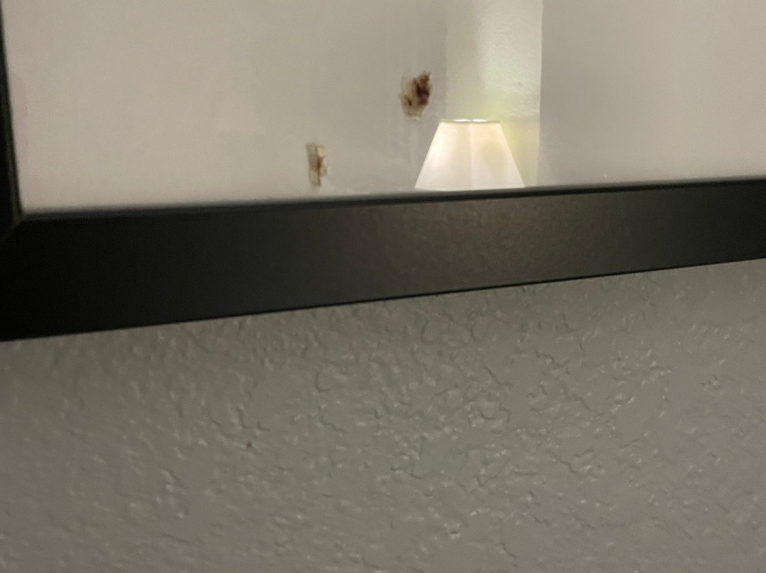 La Quinta Inn & Suites by Wyndham Kerrville主图