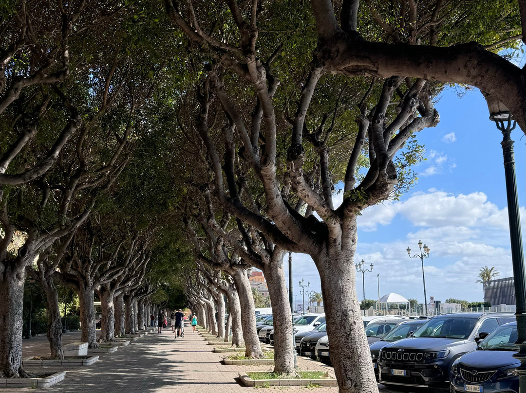 Il Cortile Fiorito srl主图