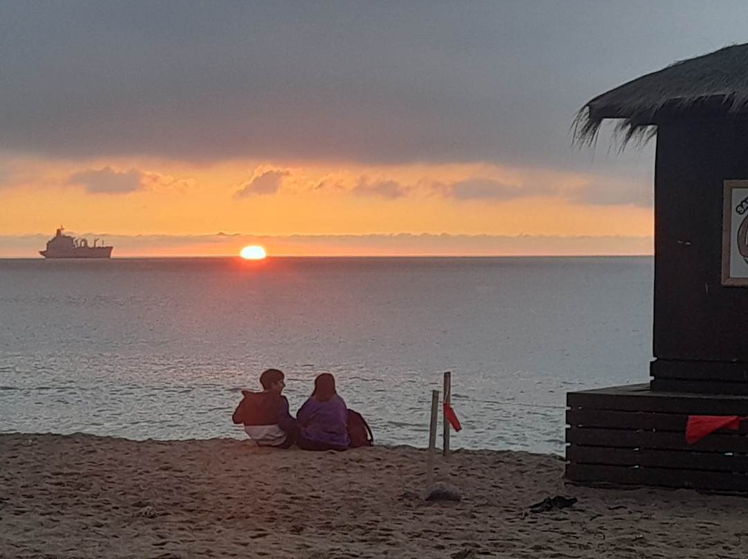 Caleta Portales-瓦尔帕莱索必去景点