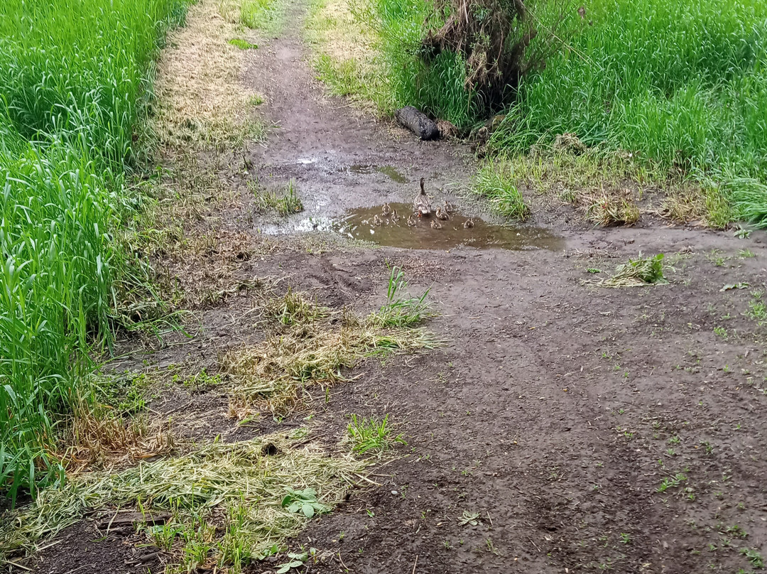 Wallace House Park-Keizer必去景点