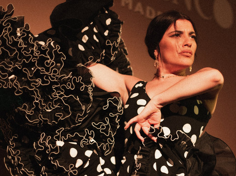 Centro Cultural Flamenco