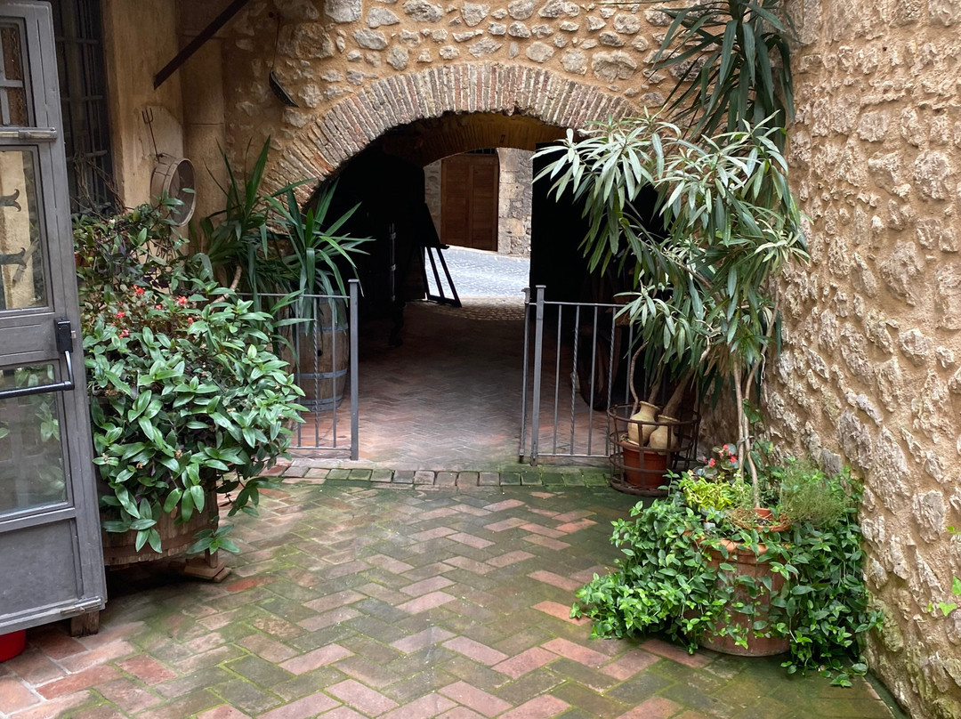 My Cab in Rome - Day Tour-罗马必去景点