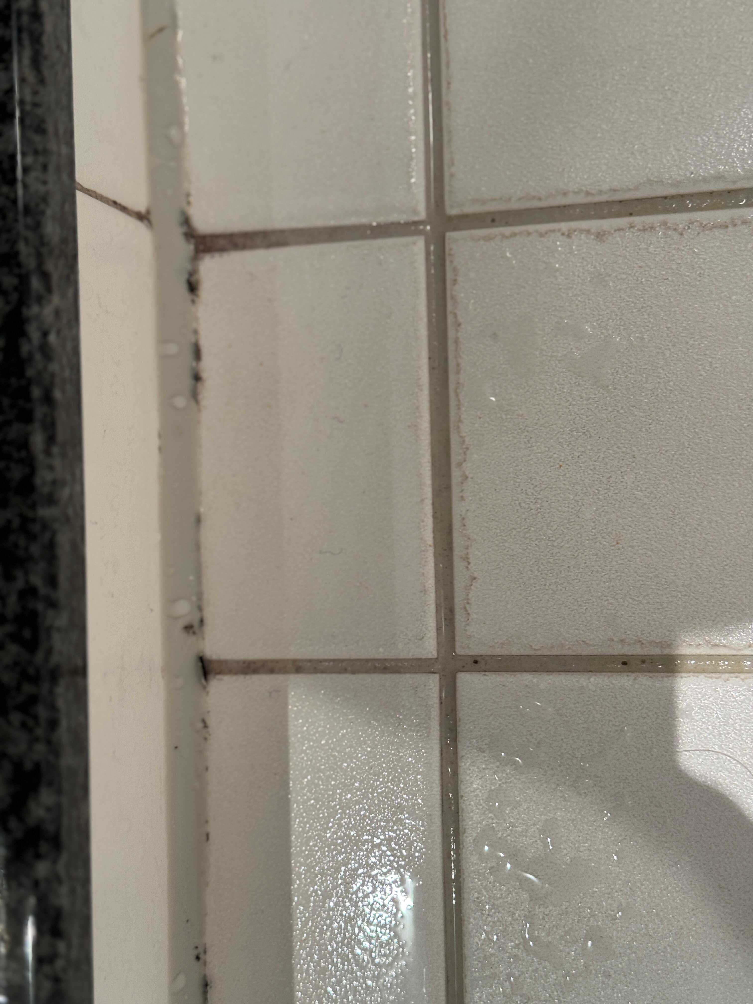 法兰克福埃施博恩黑弗曼公园美居酒店-浴室