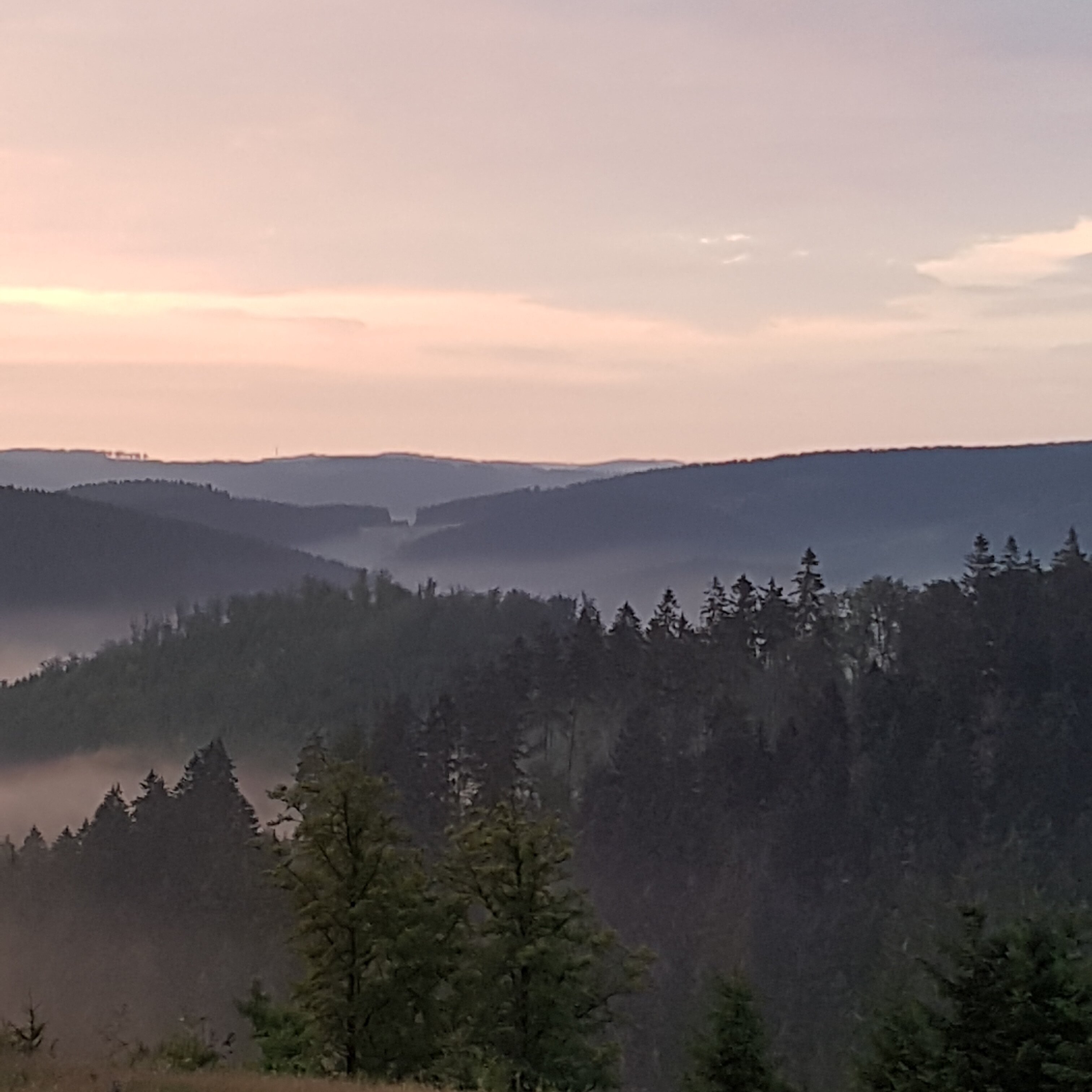 Landgasthof Restaurant Laibach-酒店景观