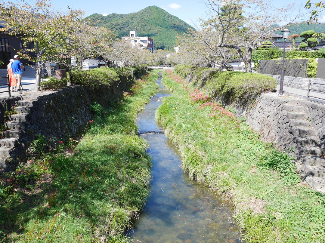 Ichinosaka River Cherry Blossoms景点图片