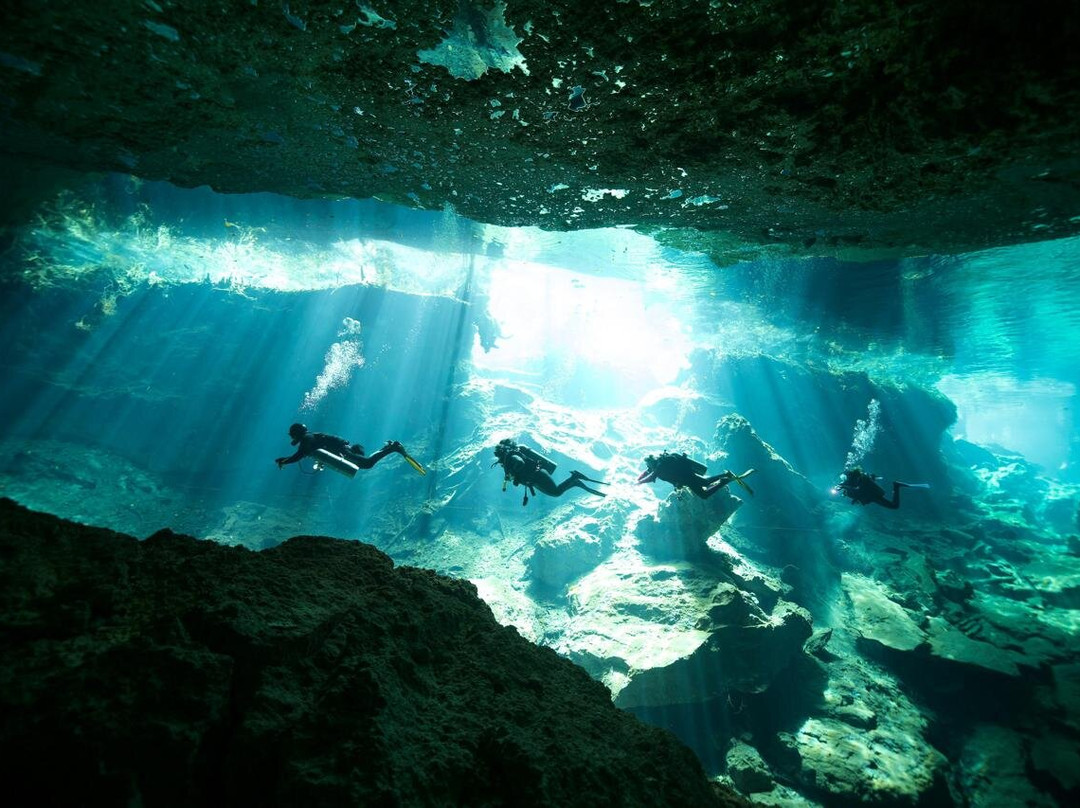 Pura Vida Diving景点图片