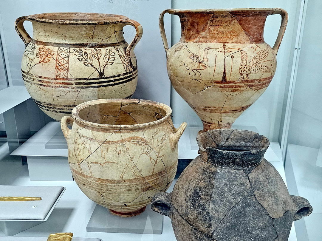 Larnaka District Archaeological Museum景点图片