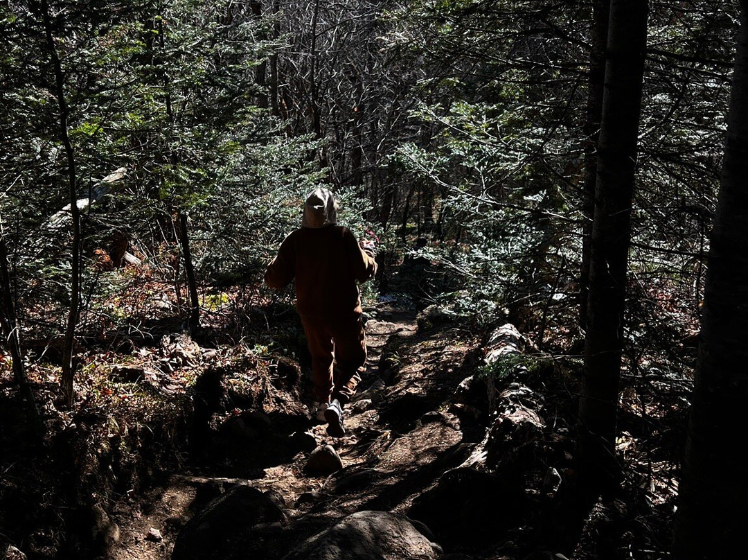 Mont Kaaikop-Sainte-Lucie-des-Laurentides必去景点