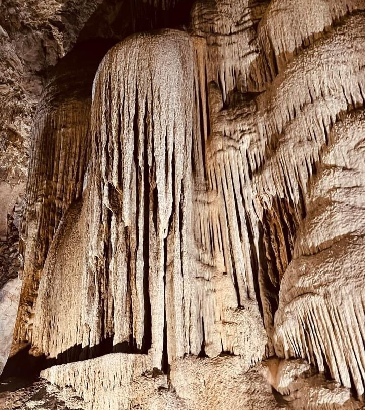 Wellington Caves & Phosphate Mine景点图片