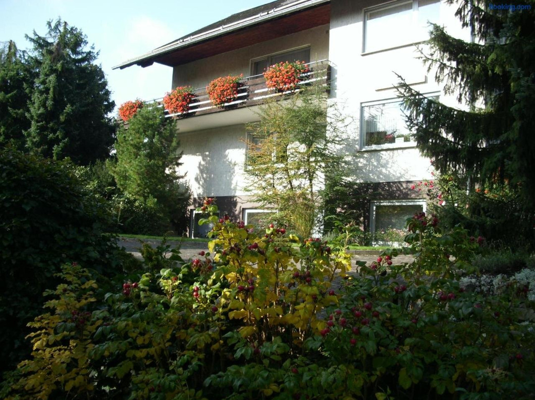 Usseln酒店住宿-Pension Rosenschlosschen