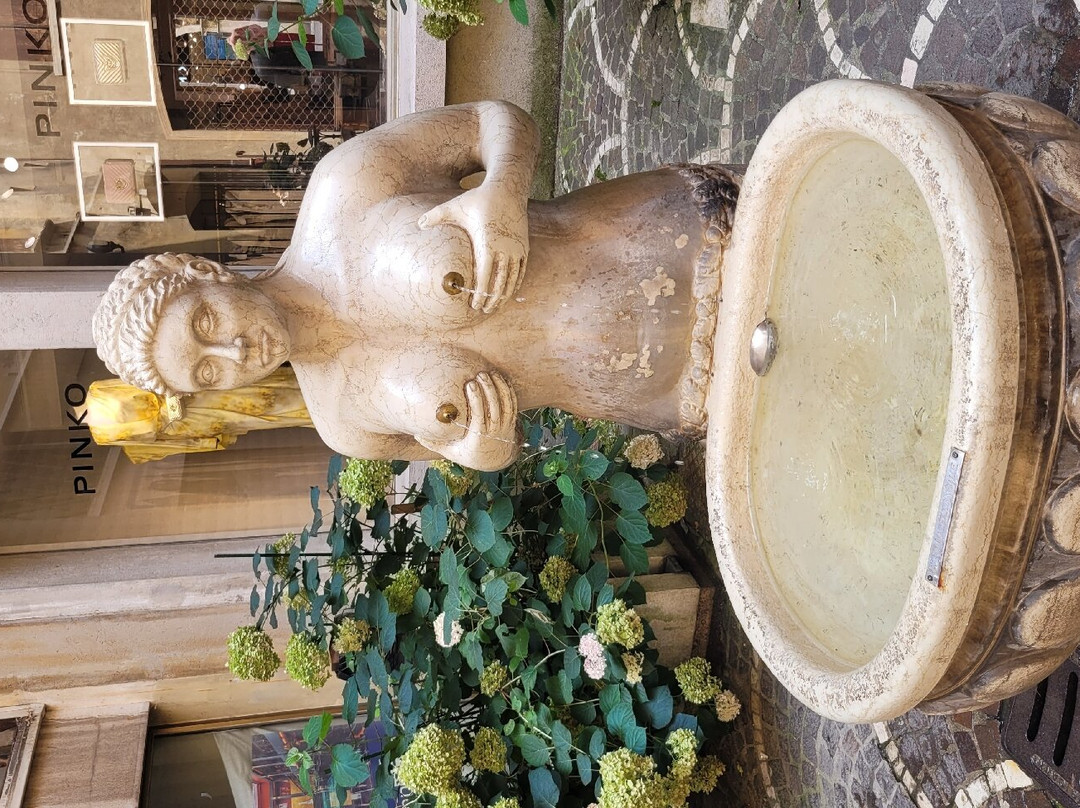 Fontana delle Tette-特雷维索必去景点