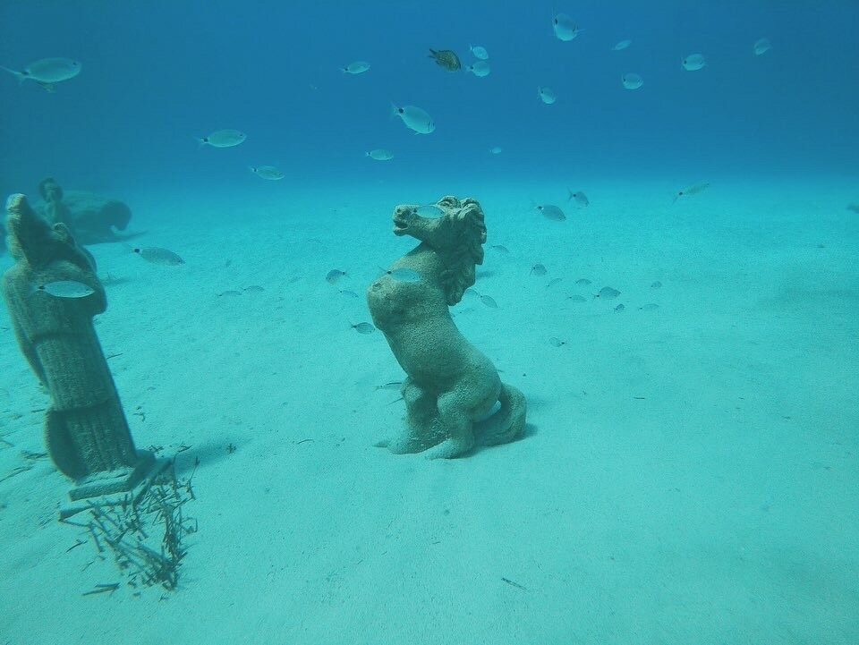 Aquadream Scuba Diving Academy-拉纳加必去景点
