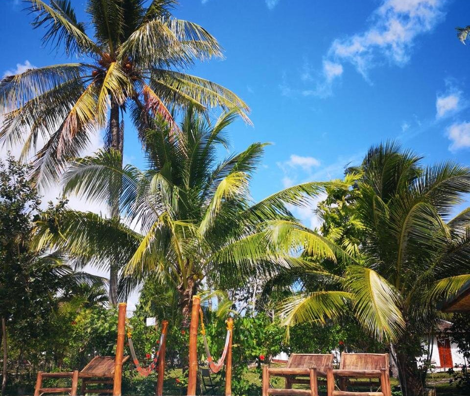 莫阿尔博阿尔酒店住宿-Native House Resort Powered by Cocotel